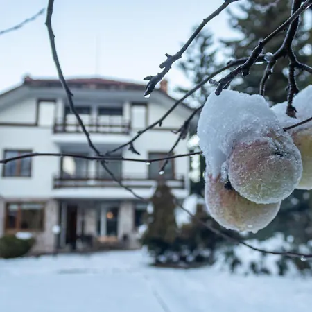 Eight Rooms Bansko Exterior photo