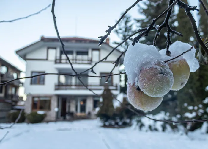 Eight Rooms Bansko
